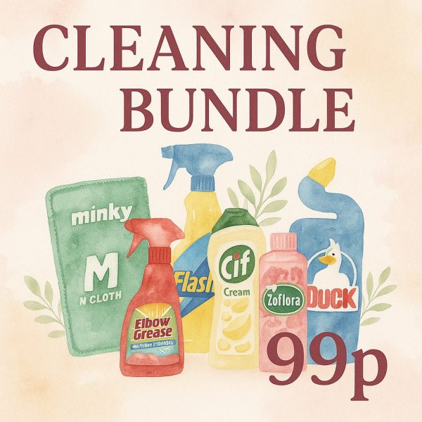 THE ULTIMATE CLEANING BUNDLE WORTH £60!!! 99p!