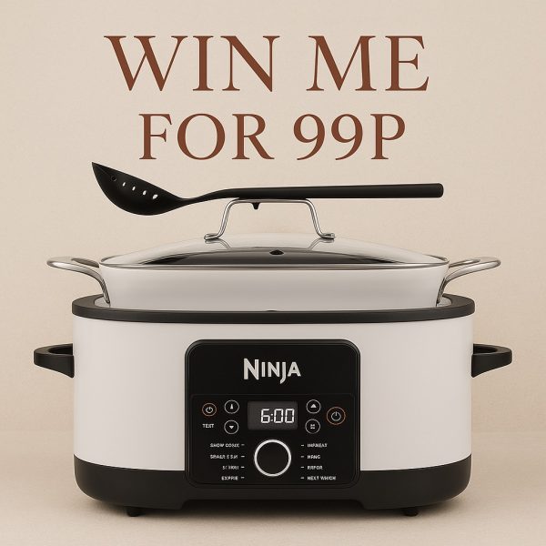 NINJA 8-in-1 SLOW COOKER 99P